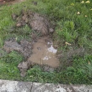 Sewer Repair Service